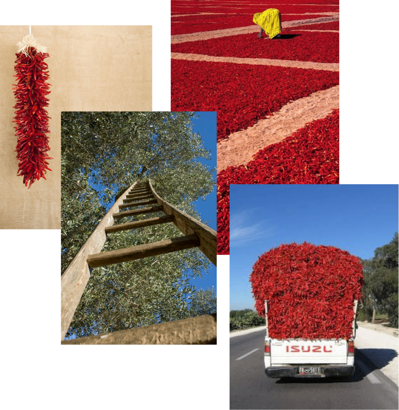 Aglio Olio intro collage
